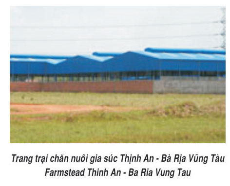 Khung nhà thép tiền chế - Tasoco - Công Ty TNHH Cơ Khí Thiết Bị Công Nghiệp Tam Sơn (TASOCO)